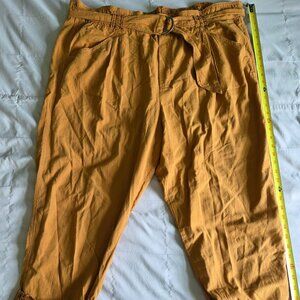 Anthropologie Mustard Golden Yellow Paperbag Pants Plus 2X
